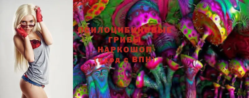 Галлюциногенные грибы Magic Shrooms  Калач-на-Дону 